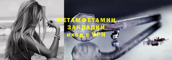 индика Козельск