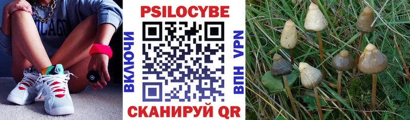 продажа наркотиков  Губаха  Галлюциногенные грибы мухоморы 